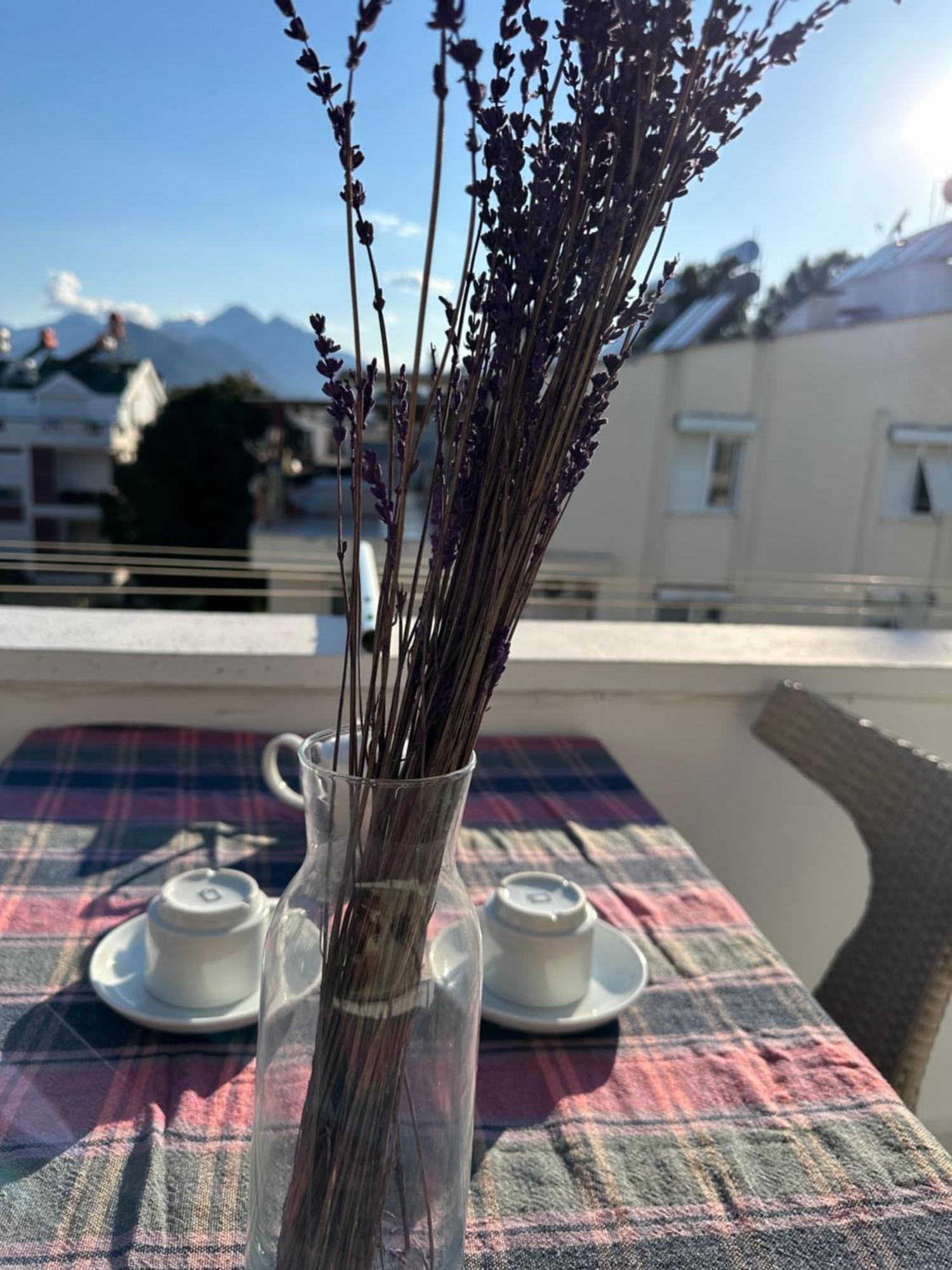 Serenity Suites Hotel أنطاليا المظهر الخارجي الصورة